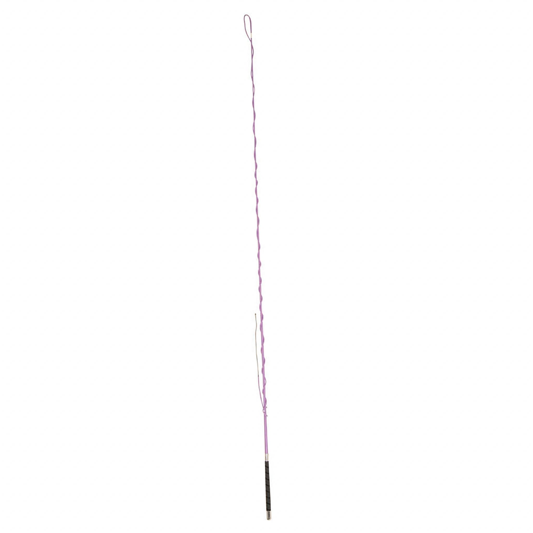 Dublin Lunge Whip with Grip Handle
