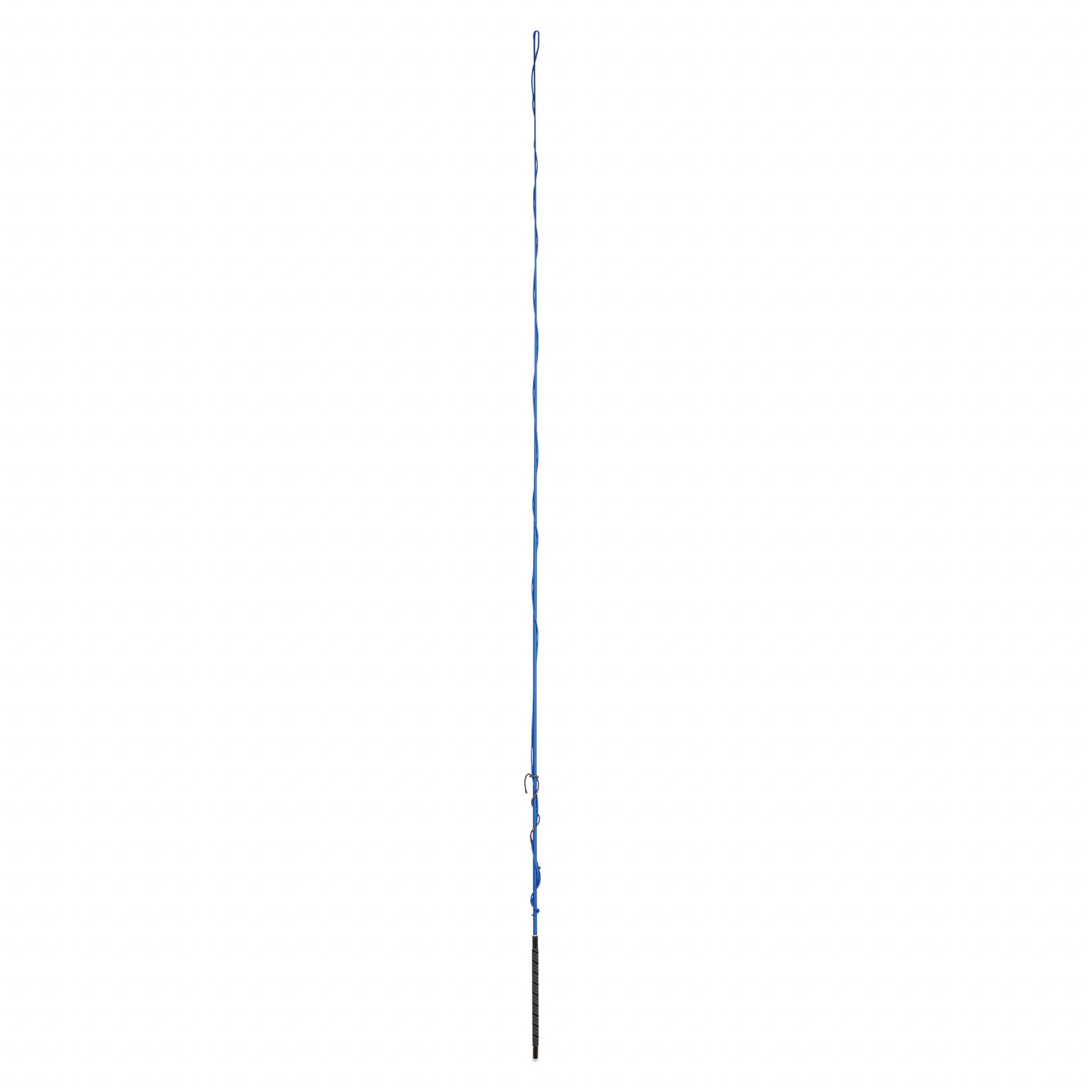 Dublin Lunge Whip with Grip Handle