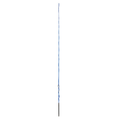 Dublin Lunge Whip with Grip Handle