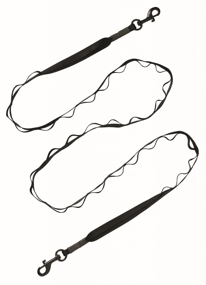 Terrain D.O.G. Venture Dual Snap Dog Leash