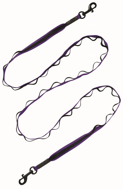 Terrain D.O.G. Venture Dual Snap Dog Leash