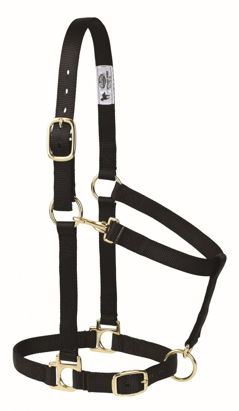 Weaver Poly Horse Halter