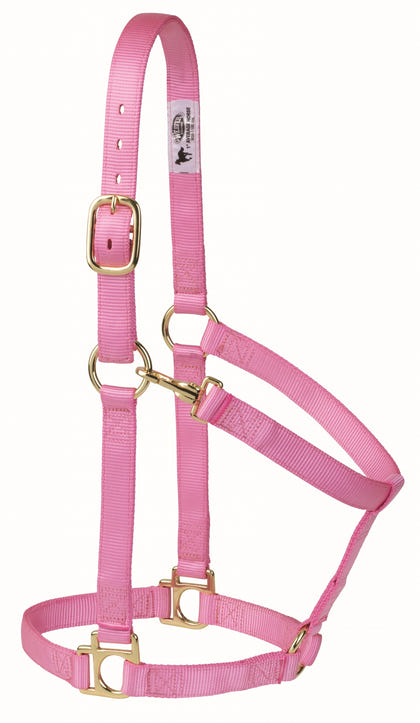 Weaver Non-Adjustable Poly Horse Halter with Throat Snap