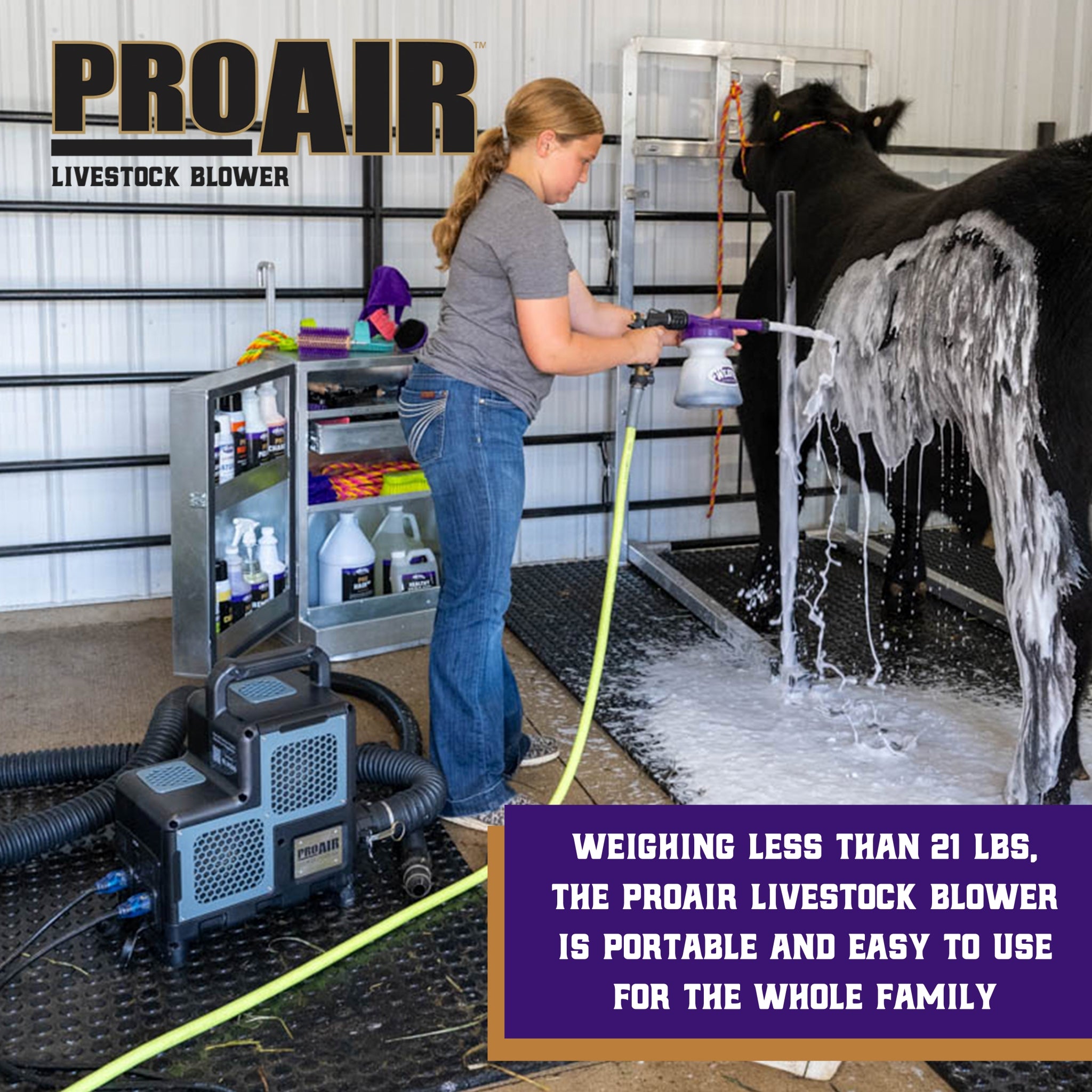 Weaver ProAir Blower