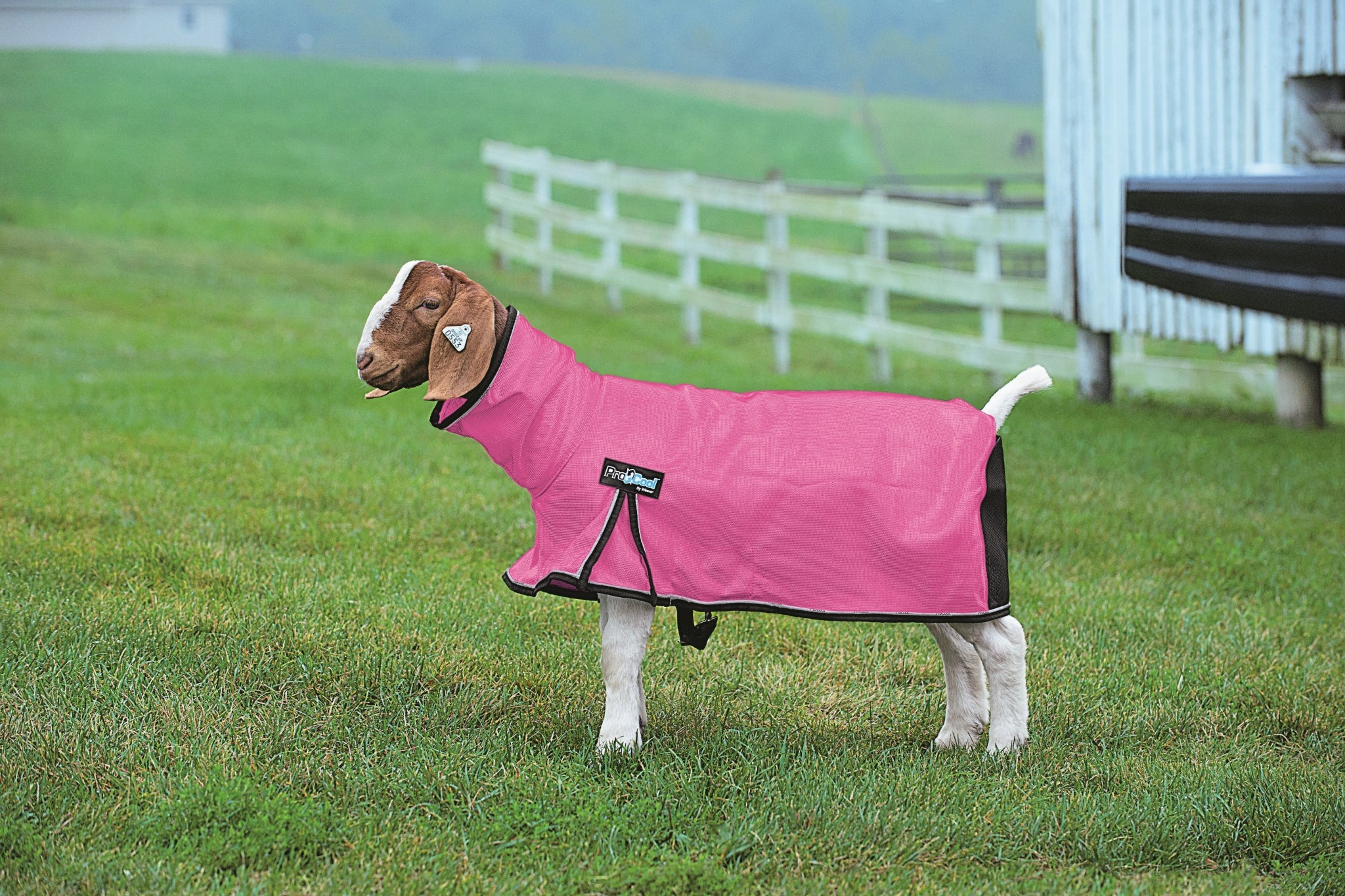 Weaver ProCool Goat Blanket with Reflective Piping
