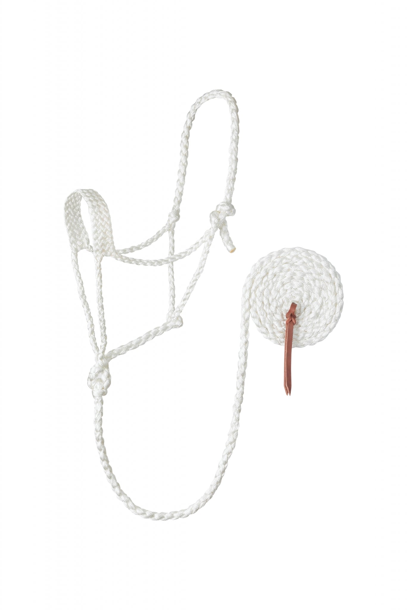 Weaver Braided Rope Halter with 10' Lead