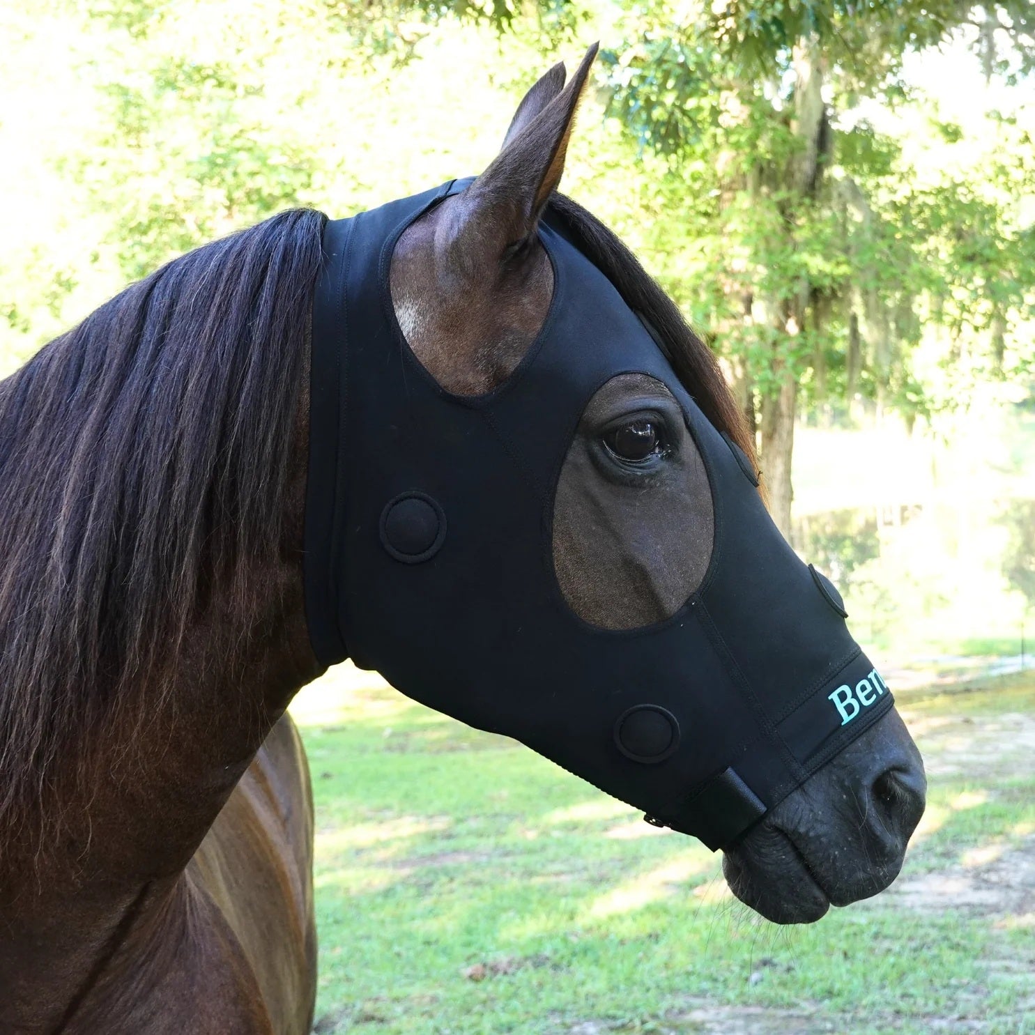 BeneFab Rejuvenate SmartMask