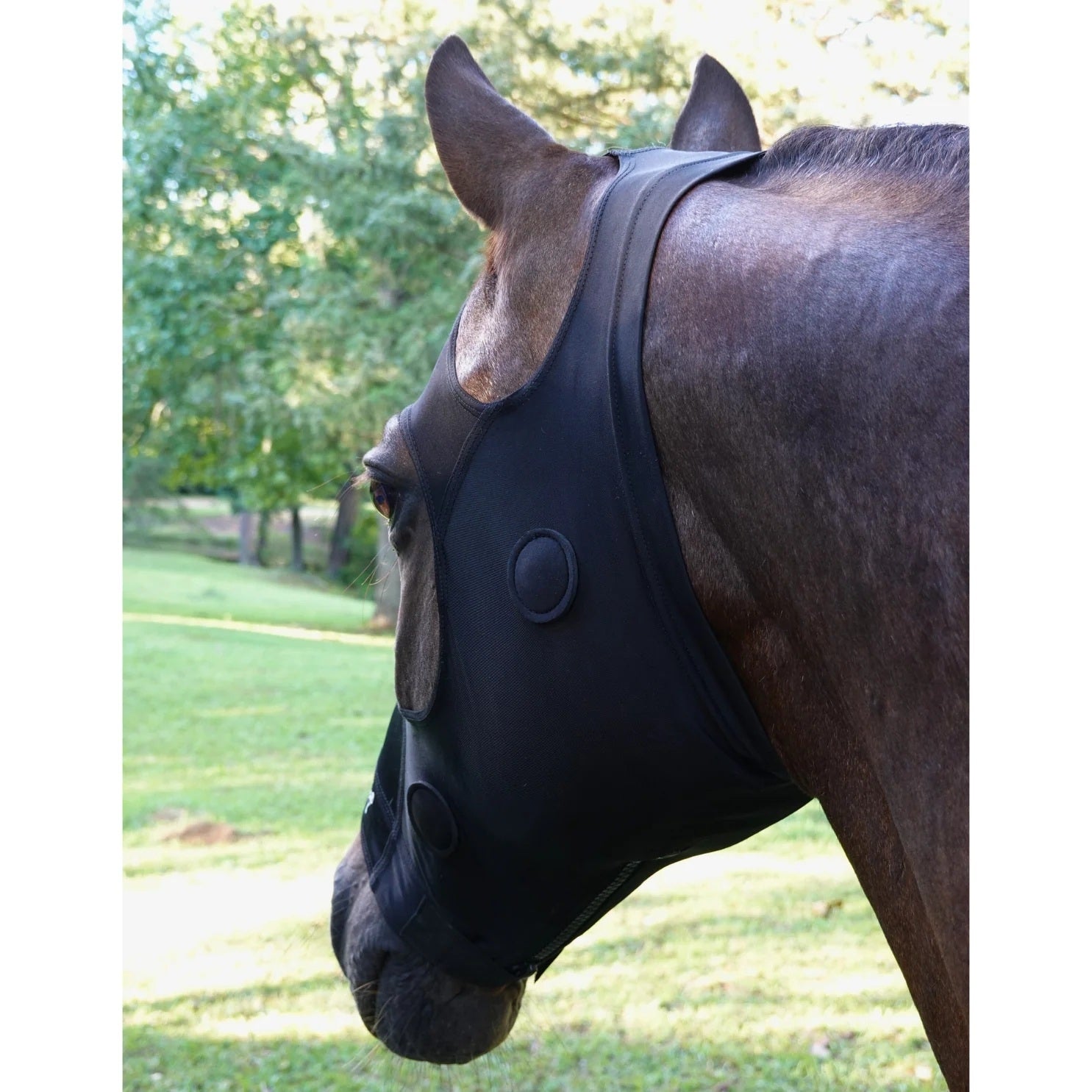 BeneFab Rejuvenate SmartMask