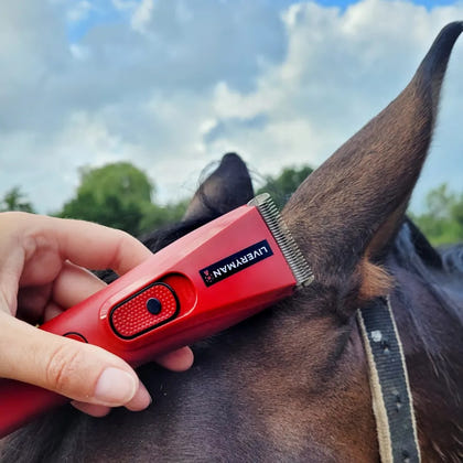 Liveryman Nova Professional Horse Trimmer
