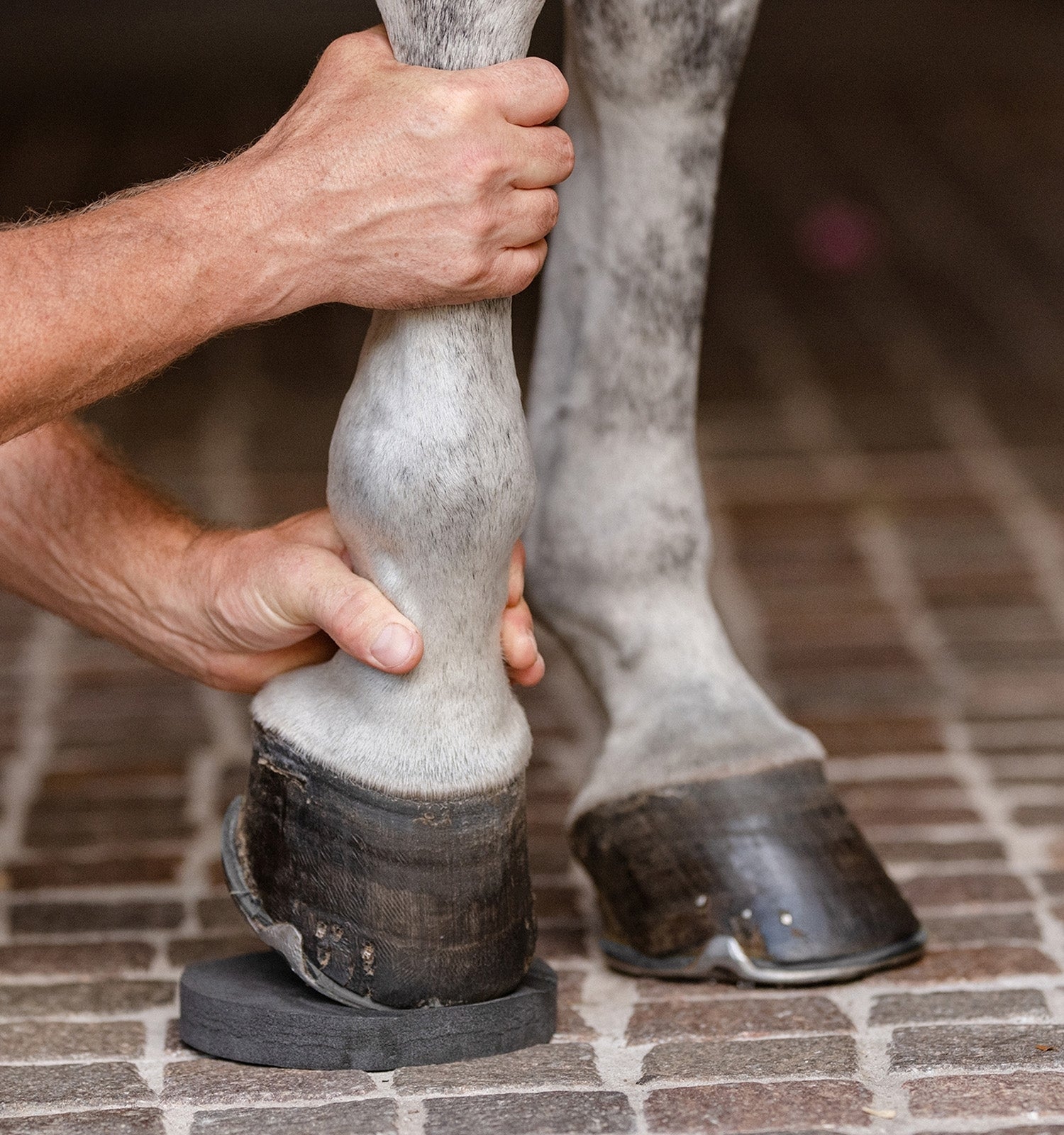 EquiFit Hoofsavers
