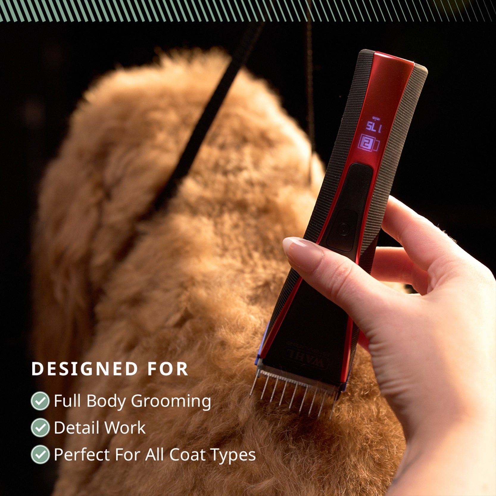 Wahl Bravura2 Clippers
