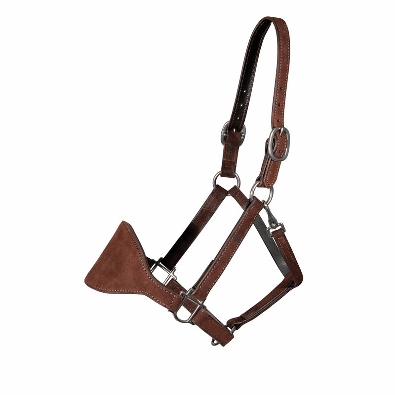 Professionals Choice Bronc Halter