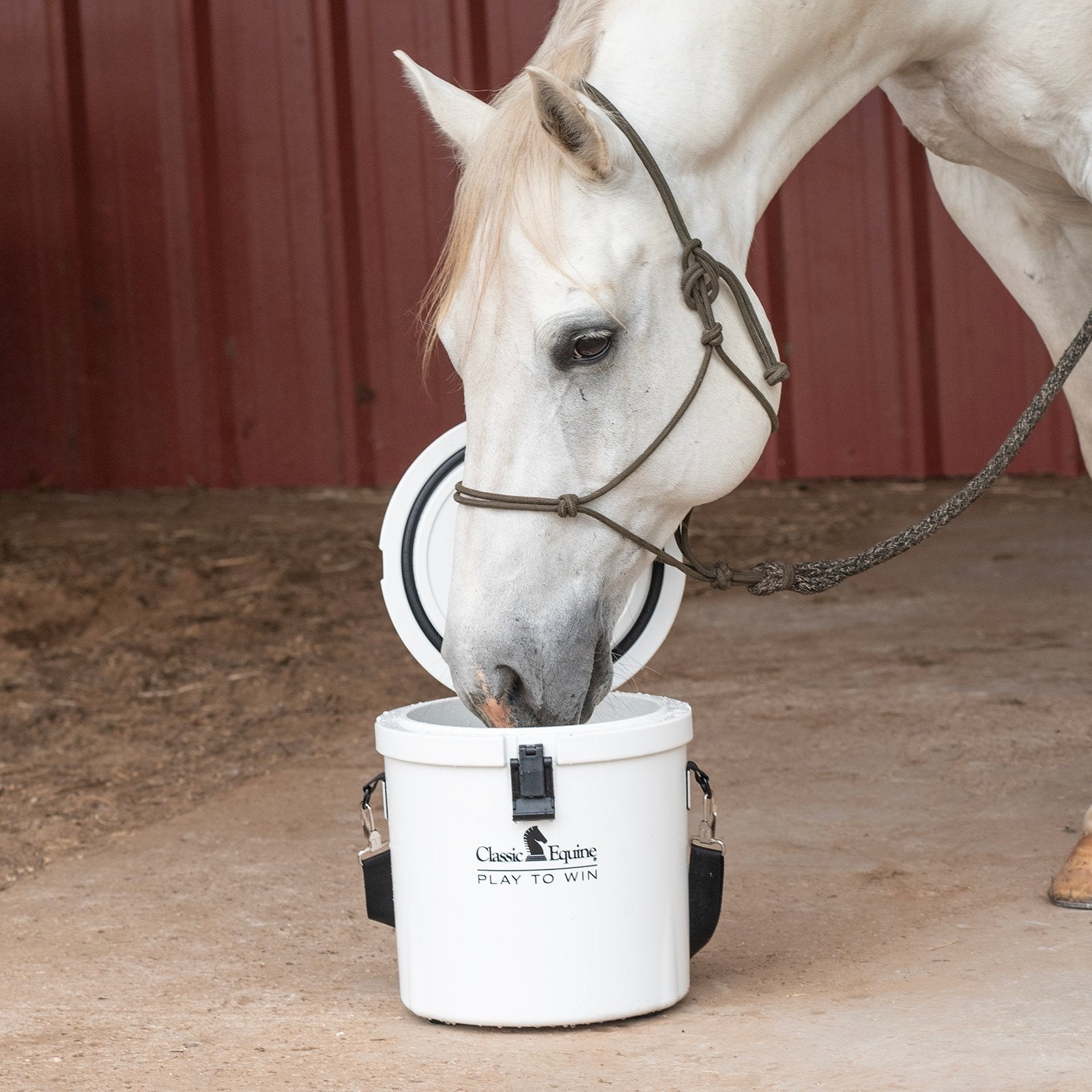 Classic Equine Bucket Cooler