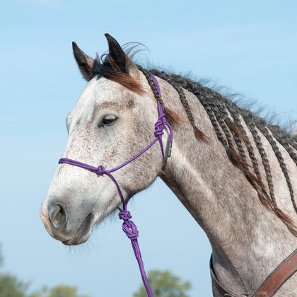 Classic Equine Rope Halter and 9 Foot Lead Rope