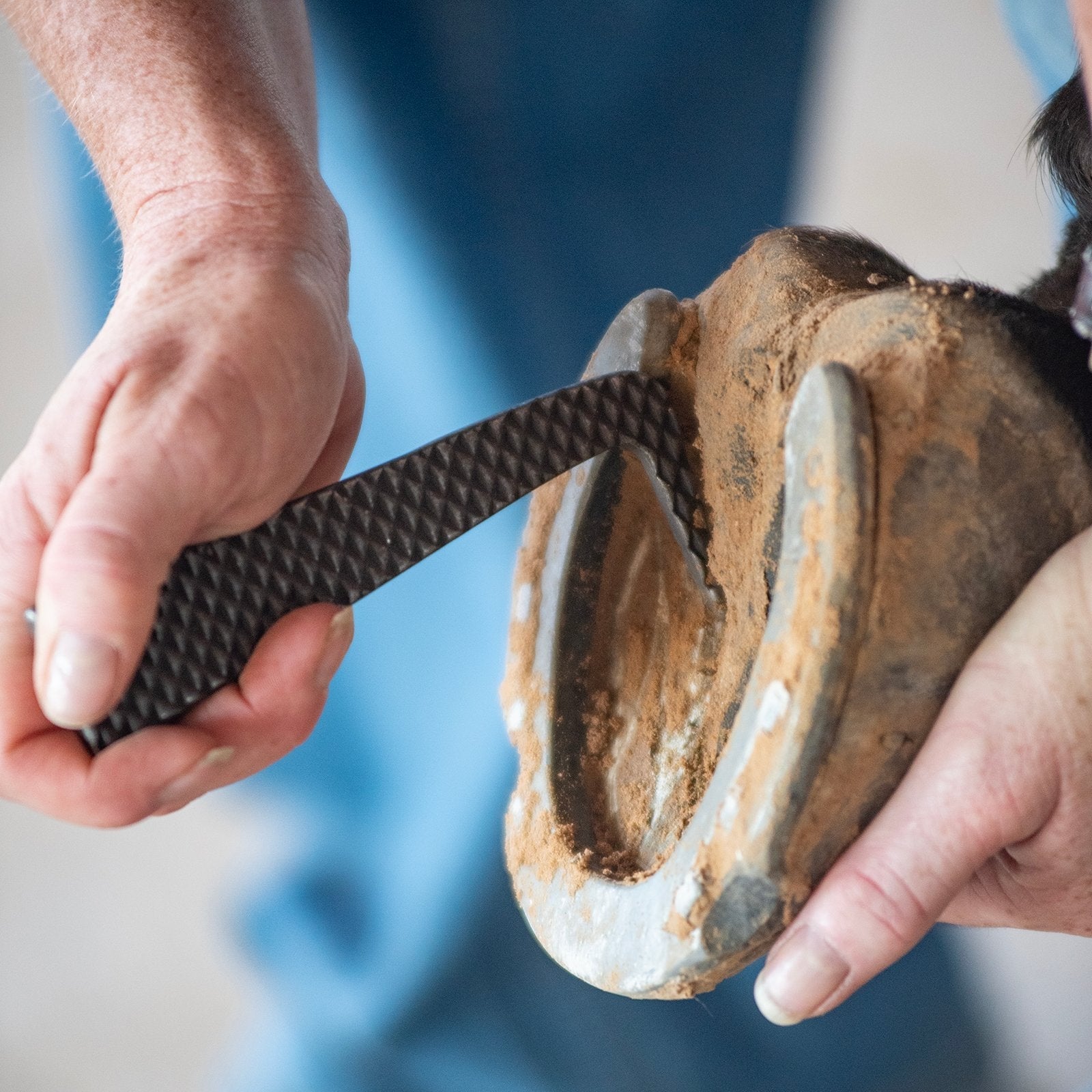 Classic Equine Rasp Hoof Pick