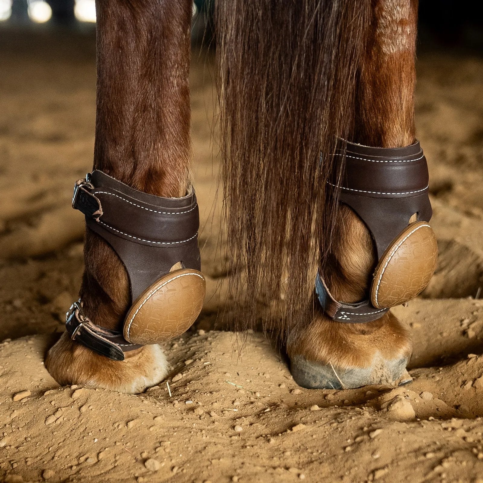 Classic Equine Pro Reiner Buckle Skid Boot