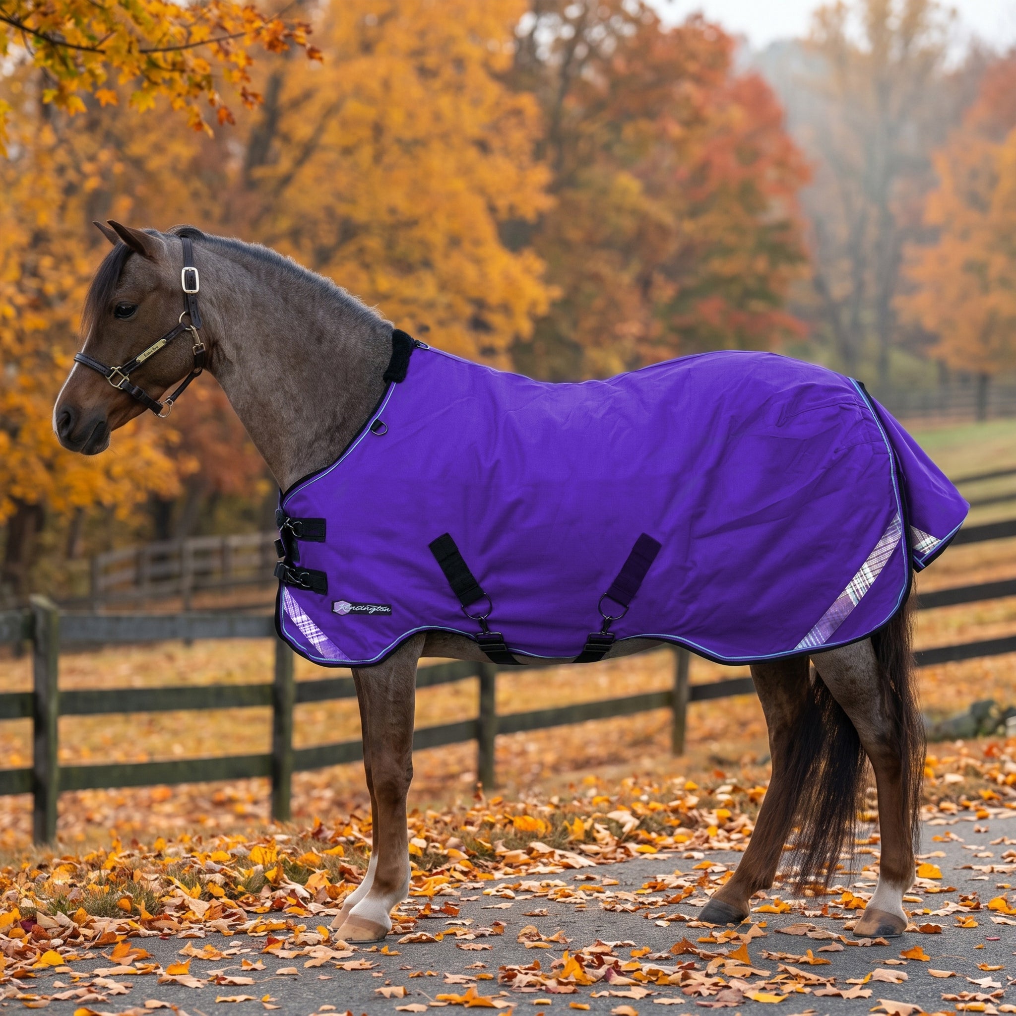 Kensington Pony 1200D SureFit Turnout 80g