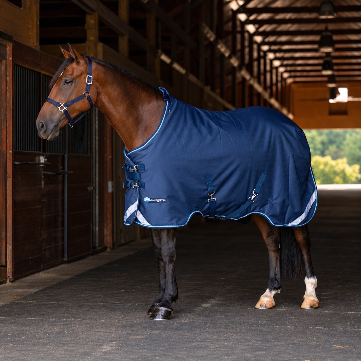 Kensington Horse 1200D SureFit Turnout 300g