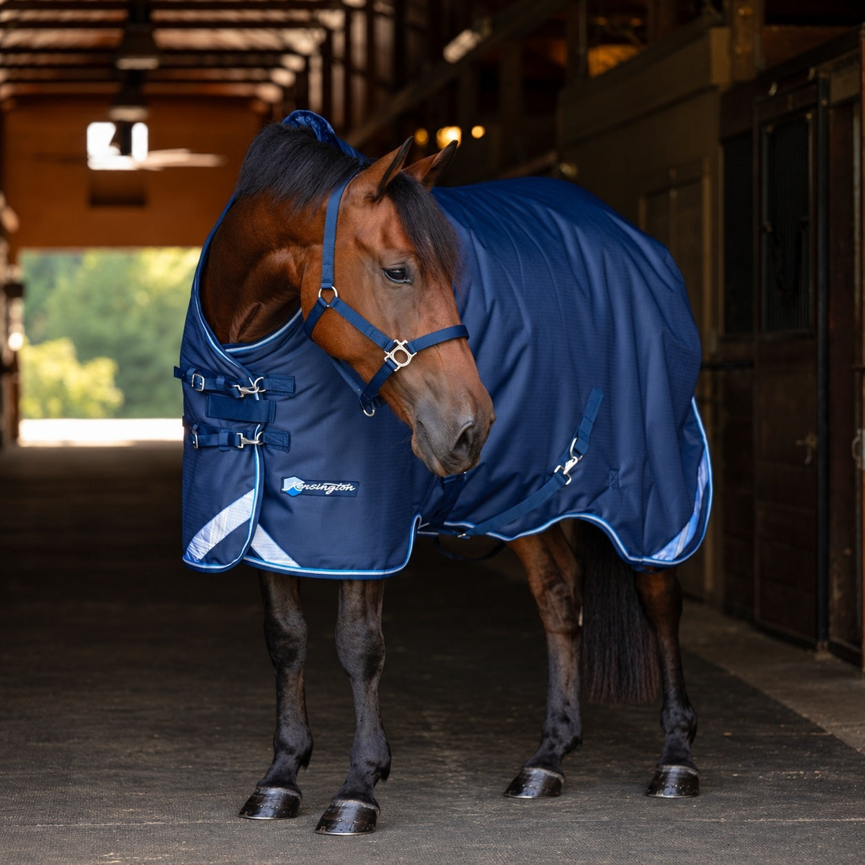 Kensington Horse 1200D SureFit Turnout 300g