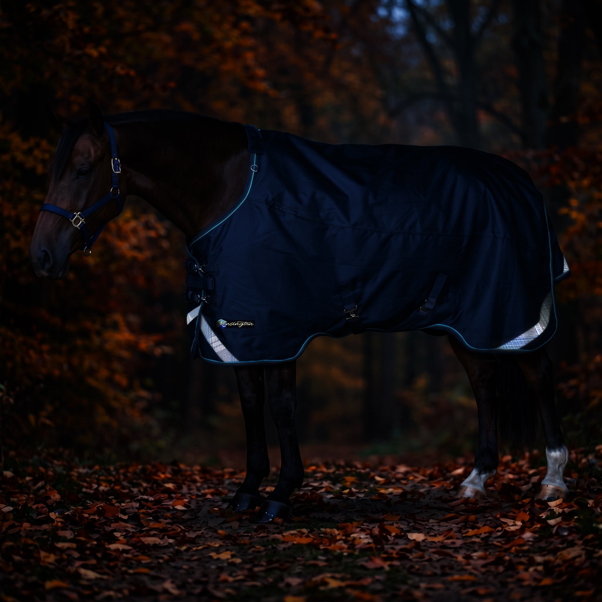 Kensington Horse 1200D EuroCut Turnout 80g