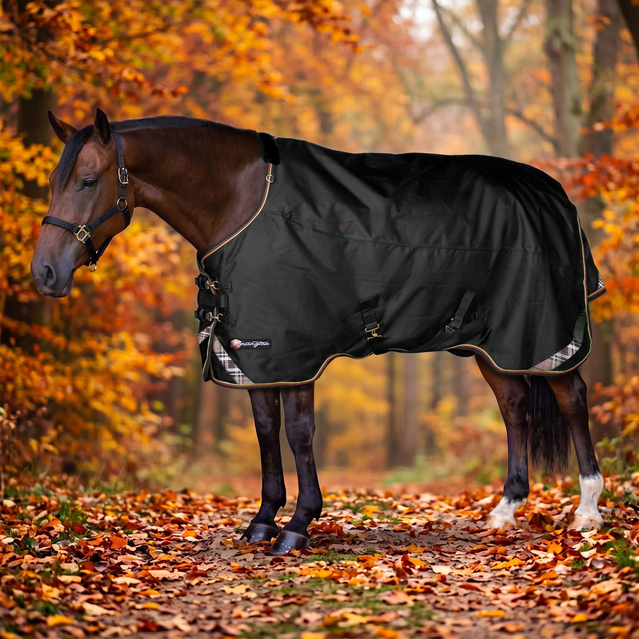 Kensington Horse 1200D EuroCut Turnout 80g
