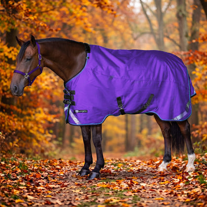 Kensington Horse 1200D EuroCut Turnout 80g