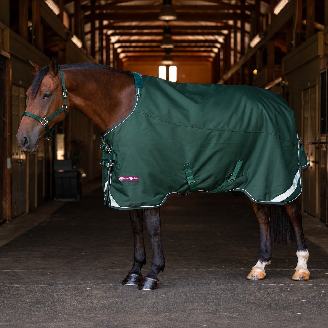 Kensington Horse 1200D EuroCut Turnout 180g