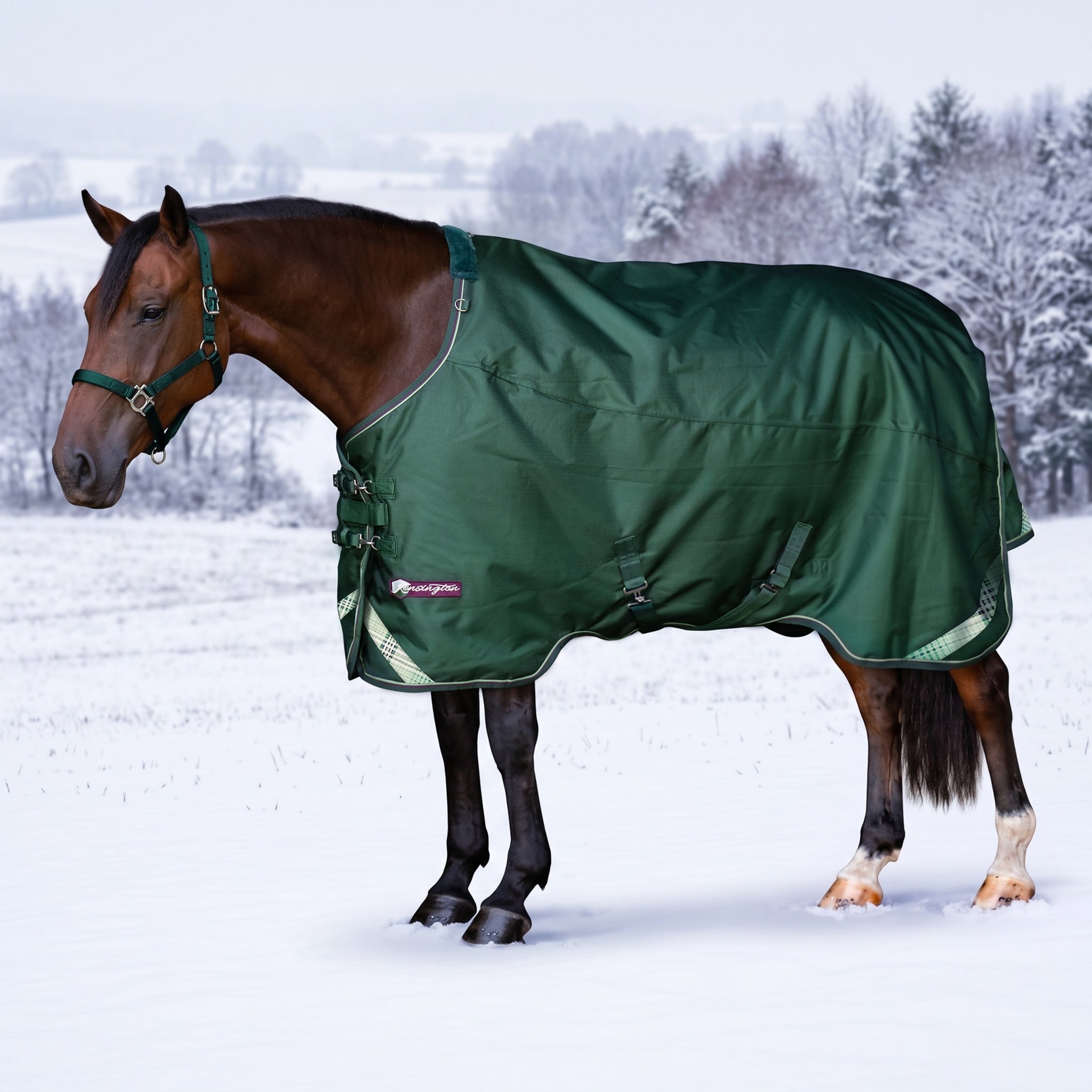 Kensington Horse 1200D EuroCut Turnout 180g