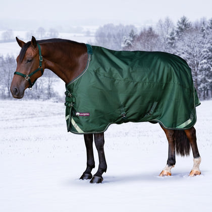 Kensington Horse 1200D EuroCut Turnout 180g