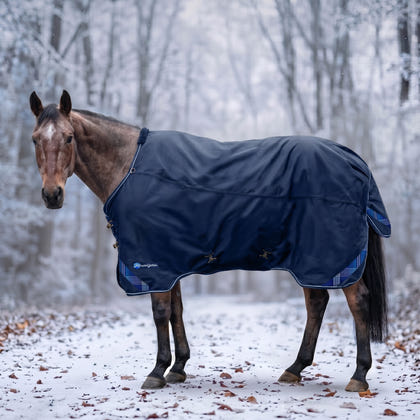 Kensington Horse 1200D EuroCut Turnout 180g