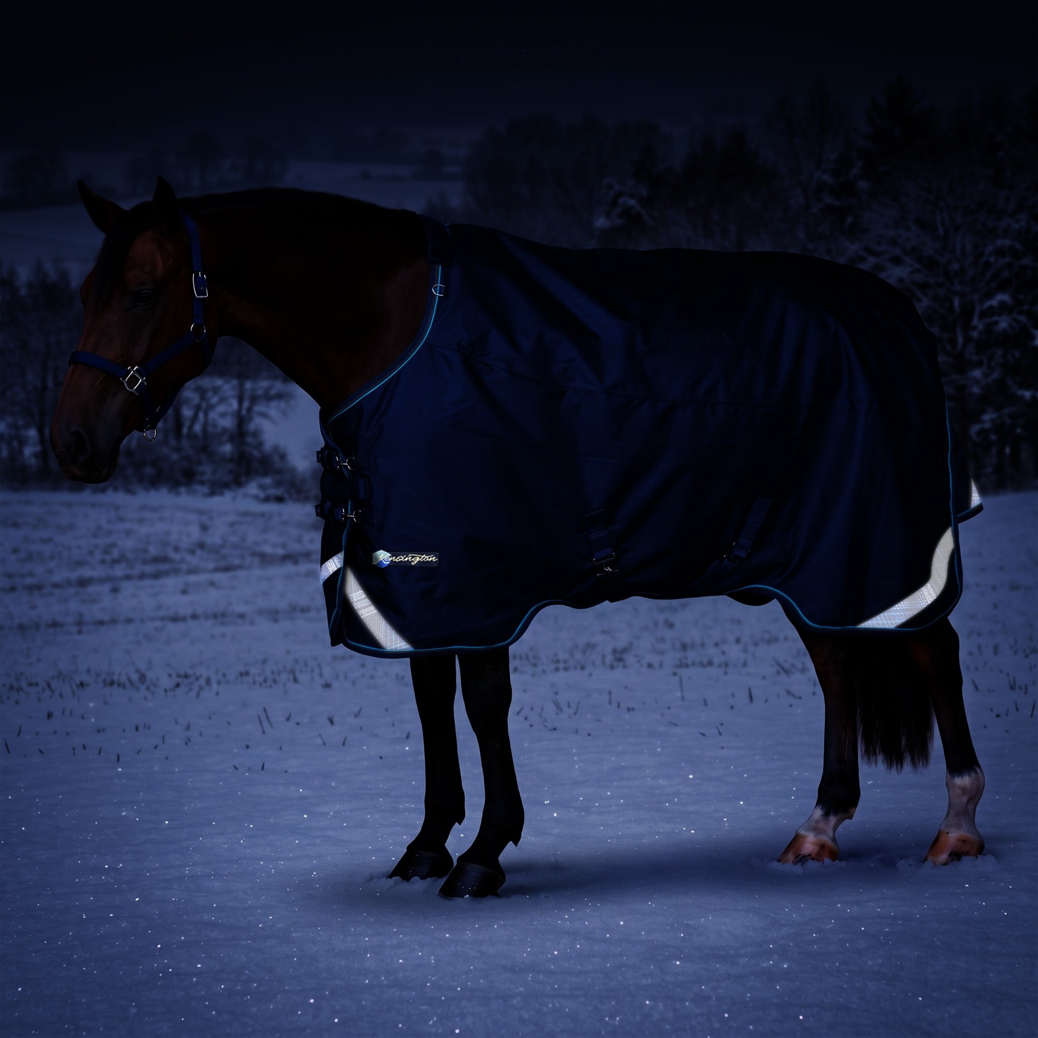 Kensington Horse 1200D EuroCut Turnout 180g