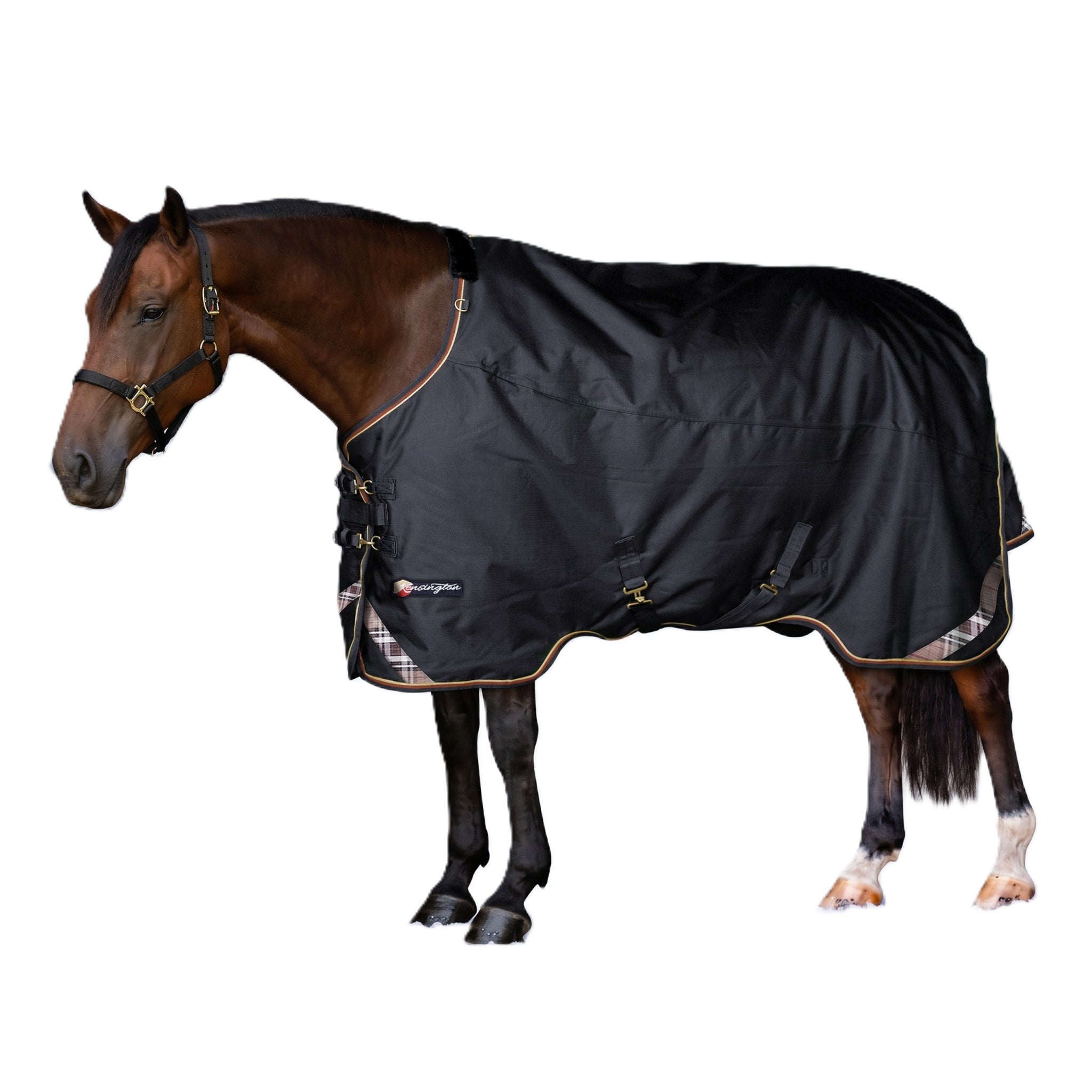 Kensington Horse 1200D EuroCut Turnout 180g