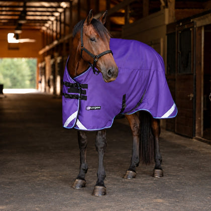 Kensington Horse 1200D EuroCut Turnout 180g