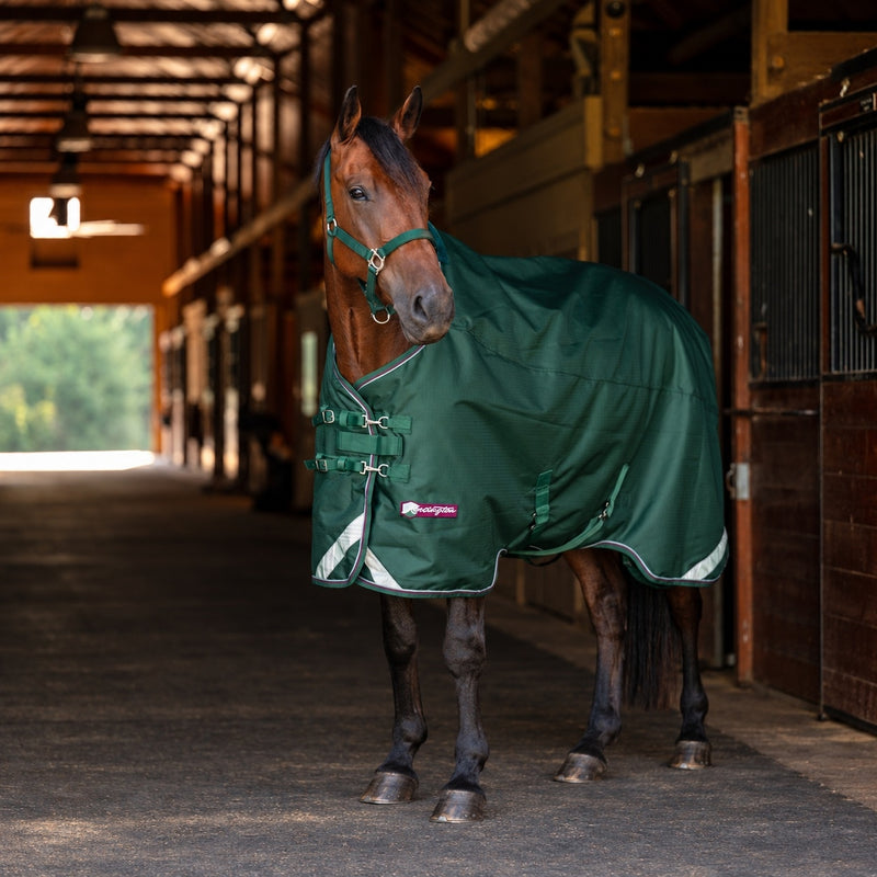 Kensington Horse 1200D EuroCut Turnout 300g