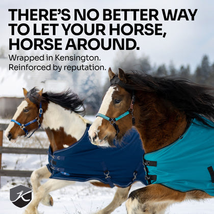 Kensington Horse 1200D EuroCut Turnout 300g