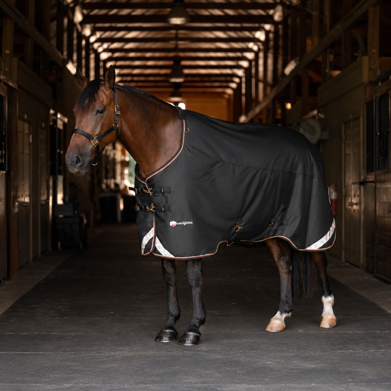 Kensington Horse 1200D EuroCut Turnout 300g