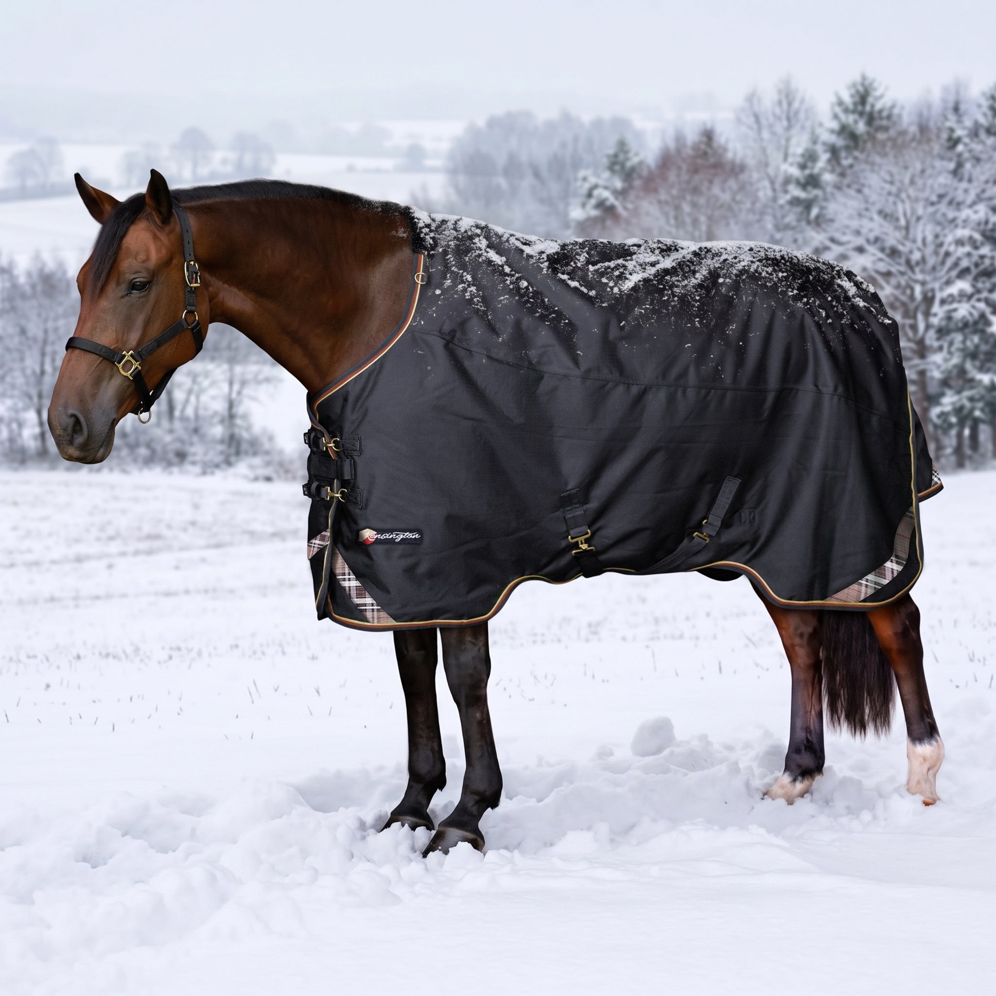 Kensington Horse 1200D EuroCut Turnout 300g