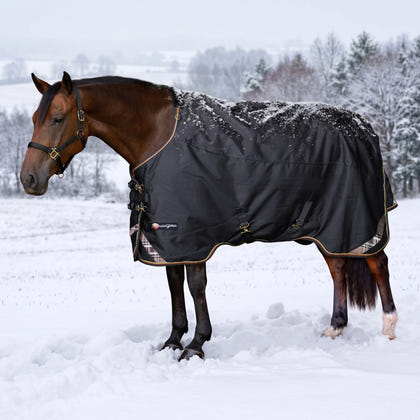 Kensington Horse 1200D EuroCut Turnout 300g