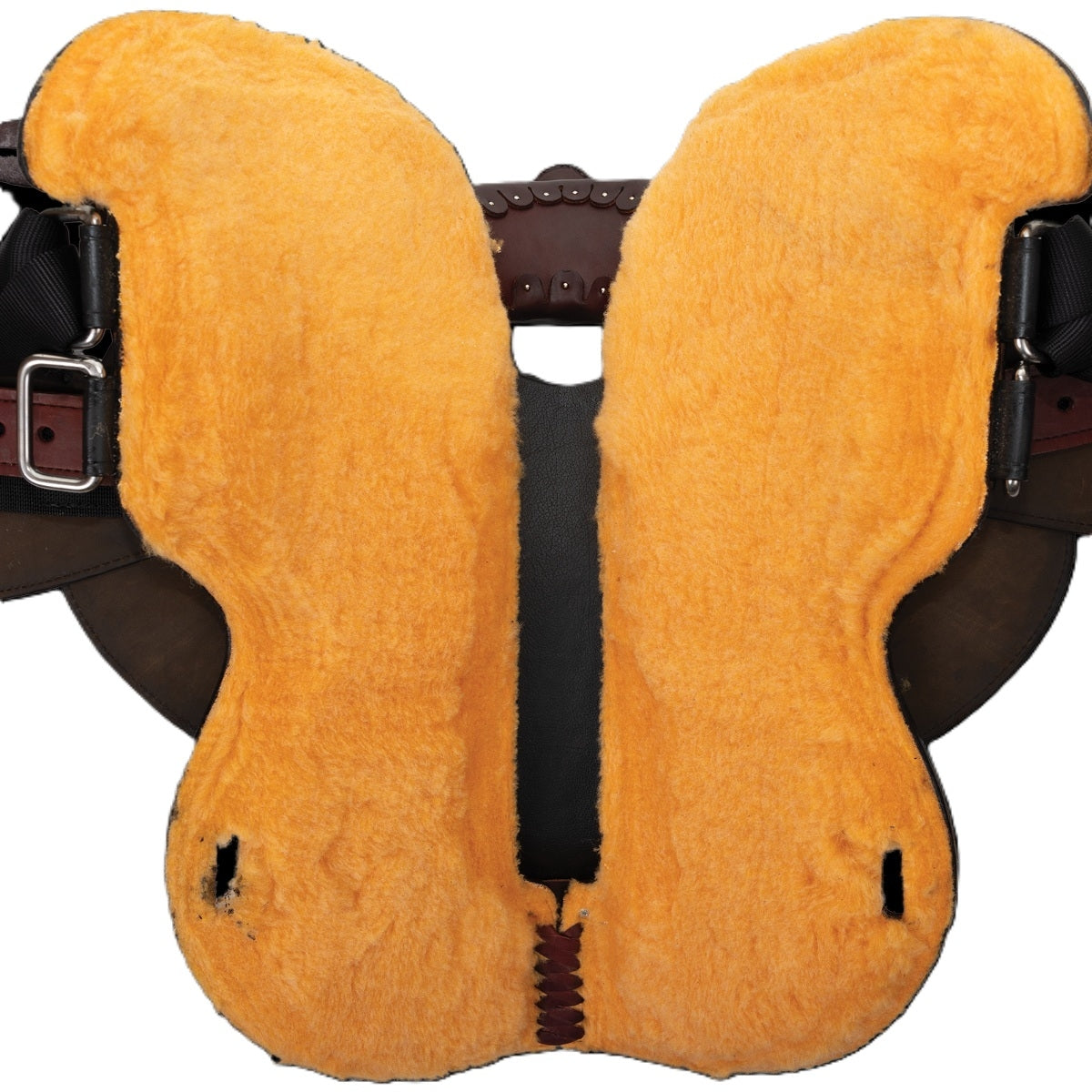 Circle Y Bradley Trail Saddle