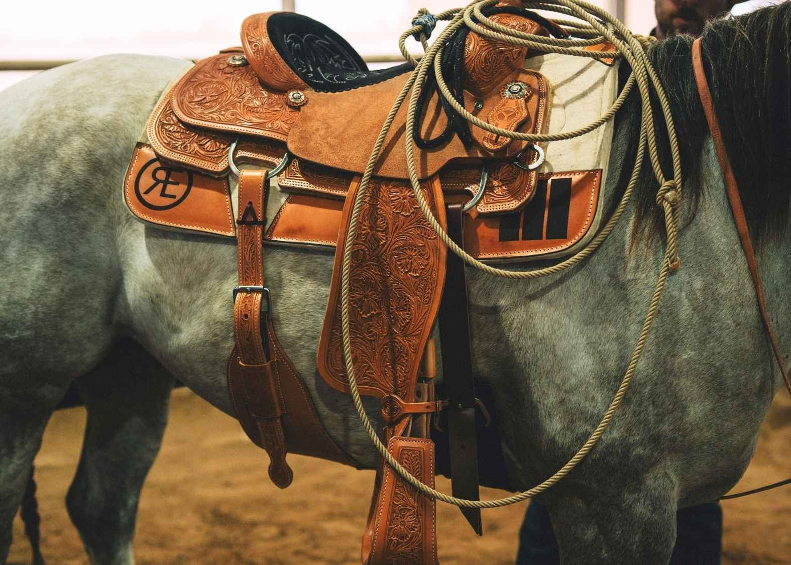 Circle Y PRCA Calf Roper 7/8 Utah Saddle
