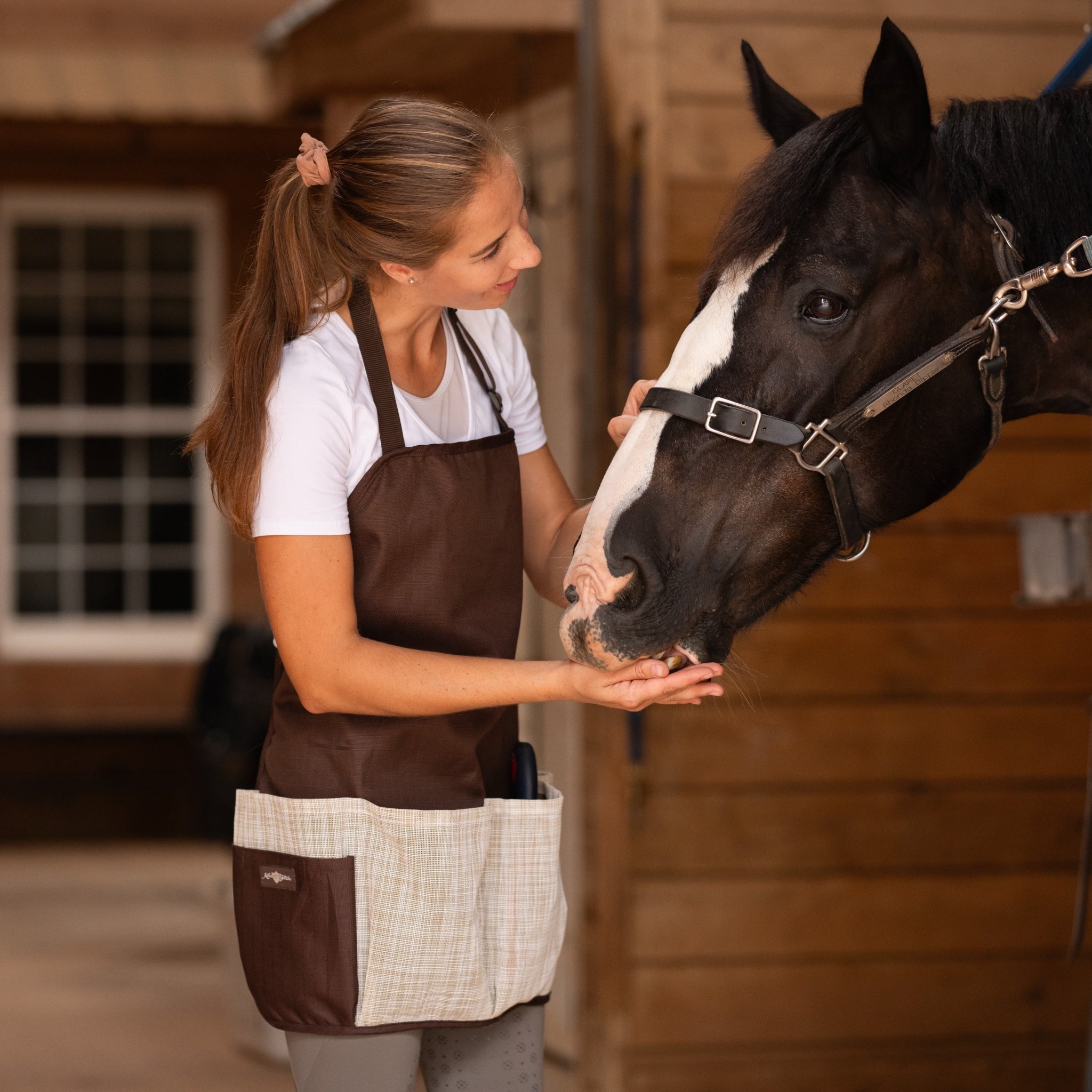Kensington Grooming Apron Blue Ice Plaid