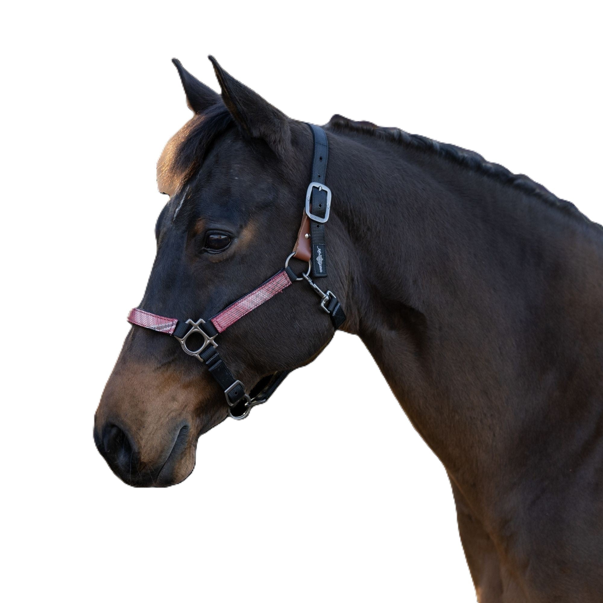 Kensington Breakaway Halter