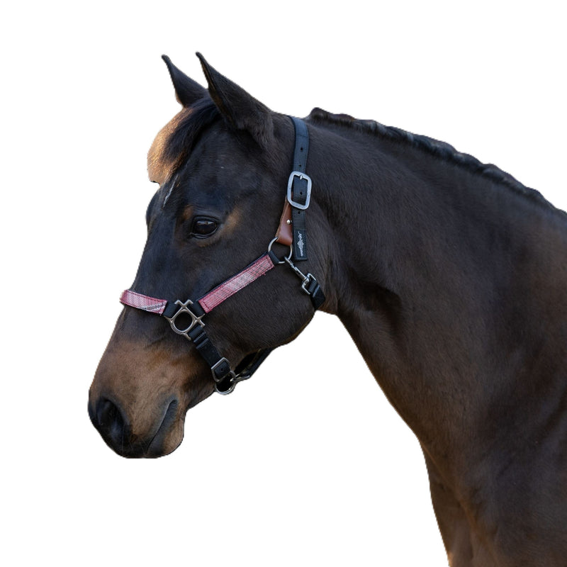 Kensington Breakaway Halter