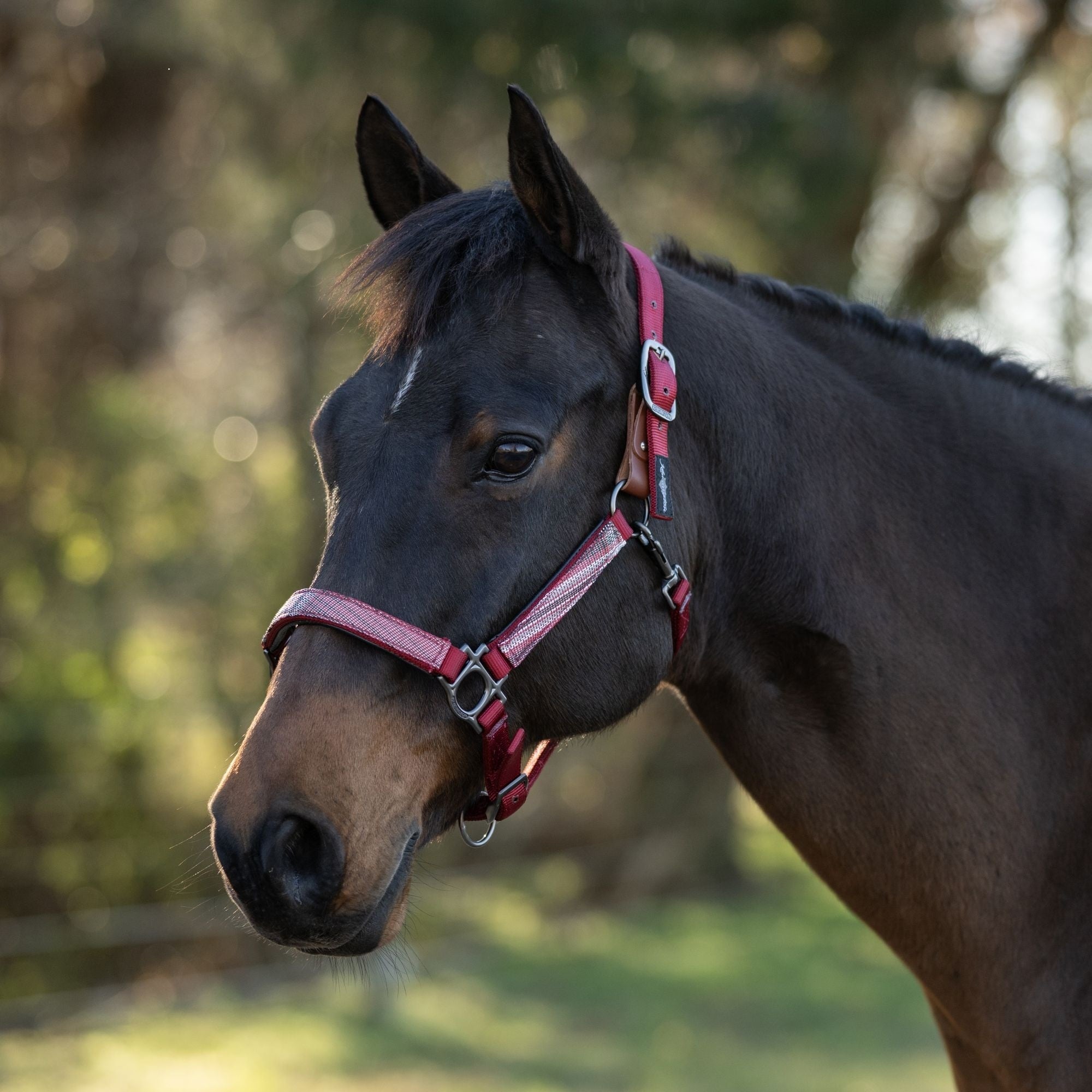 Kensington Breakaway Halter
