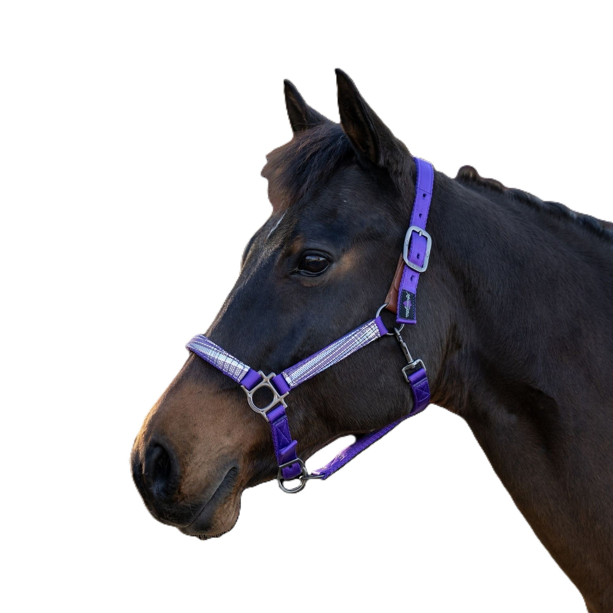 Kensington Breakaway Halter