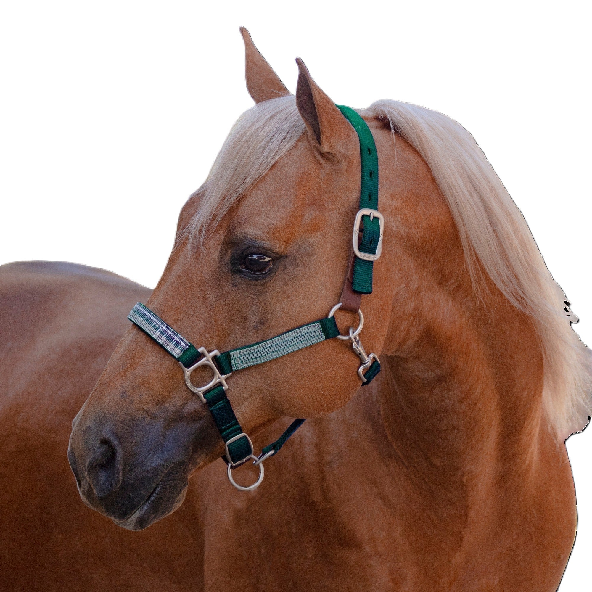 Kensington Breakaway Halter