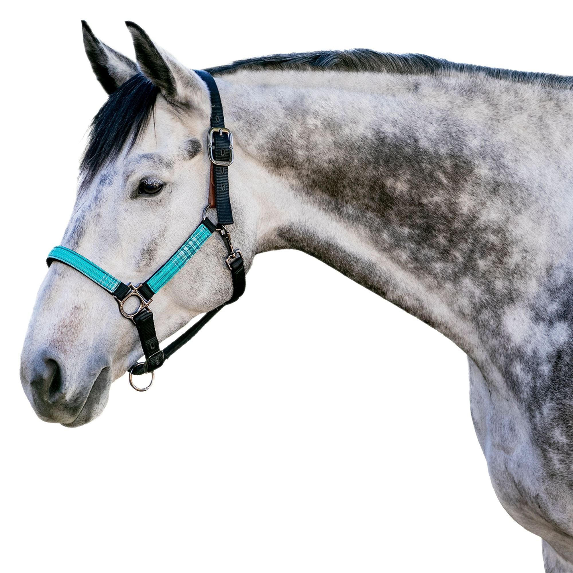 Kensington Breakaway Halter