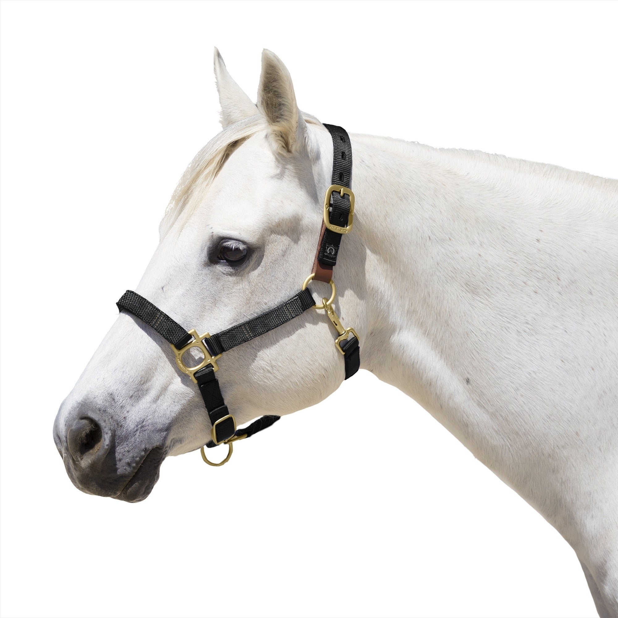 Kensington Breakaway Halter