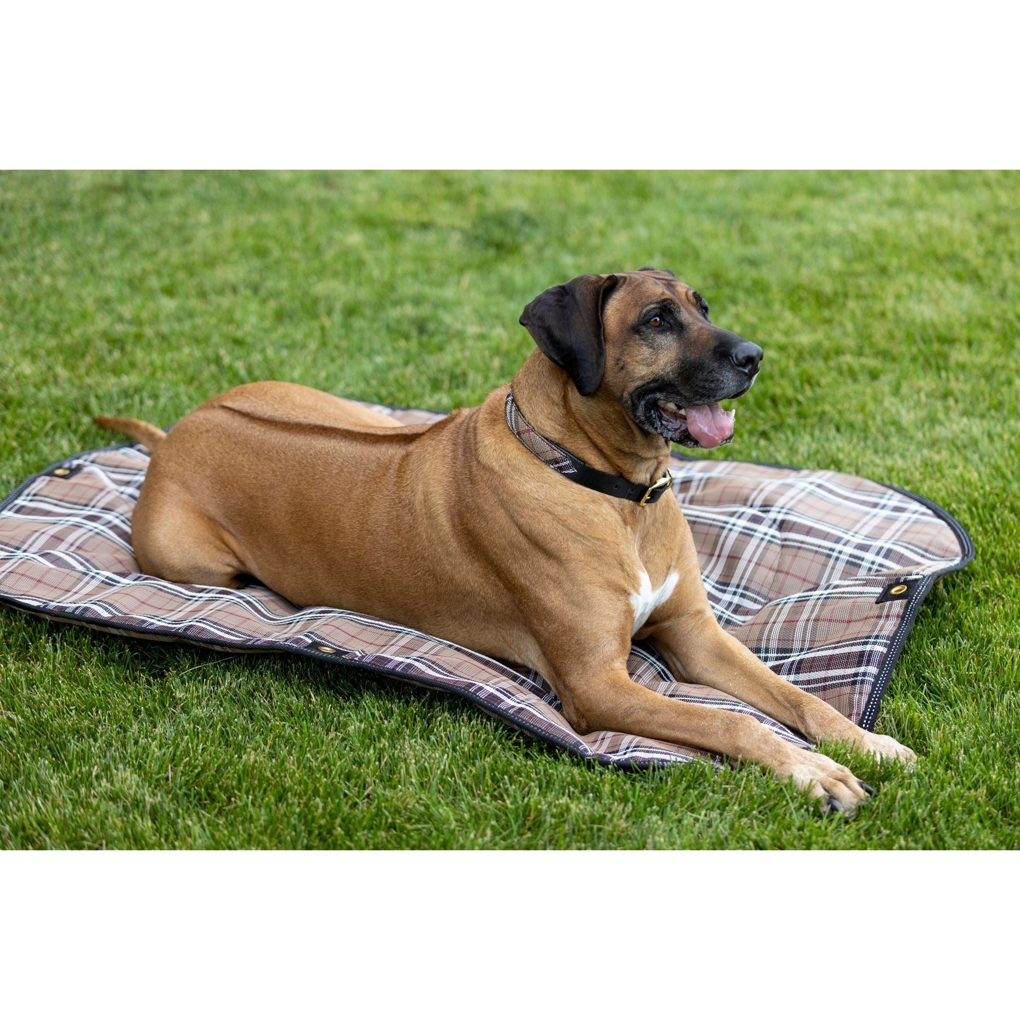 Kensington Outdoor Dog Camping Pad