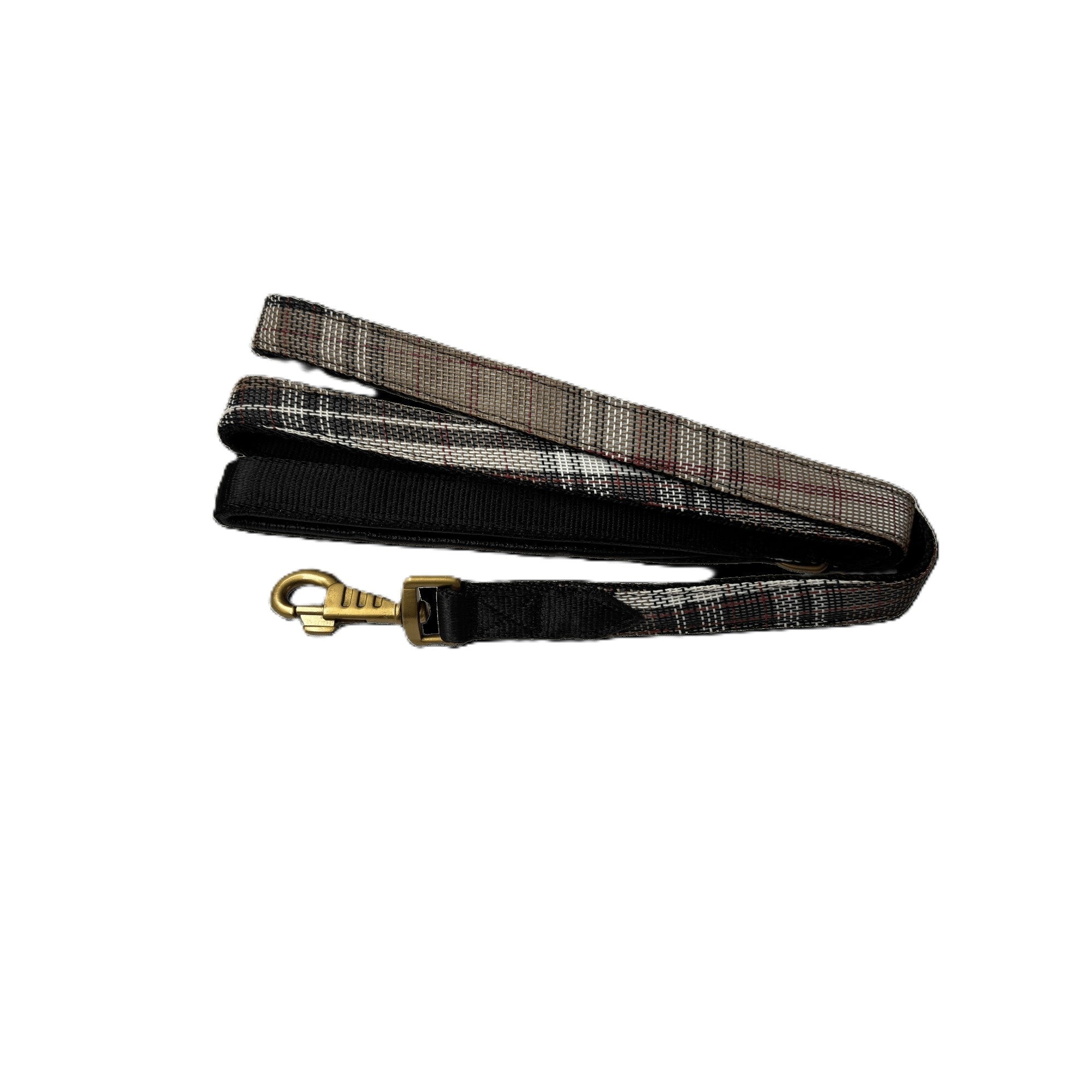 Kensington Nylon Dog Leash with Padding